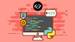 Python Bootcamp: The Entry Course!