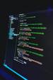 Wordpress-Entwicklung